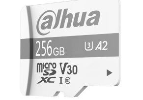 Dahua Technology P100 Memoria Flash 256 GB MicroSD 100 MB/s 80 MB/s