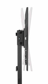 Manhattan Soporte de suelo ultradelgado para TV/monitores, para pantallas de 37" a 55", Compatibilid