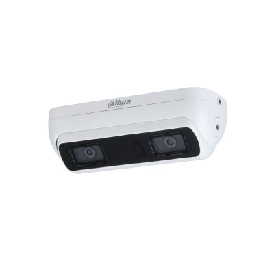 Dahua Technology WizMind HDW8341XP-BV-3D-0360B cámaras de vigilancia Cámara de seguridad IP Exterior Alámbrico Si
