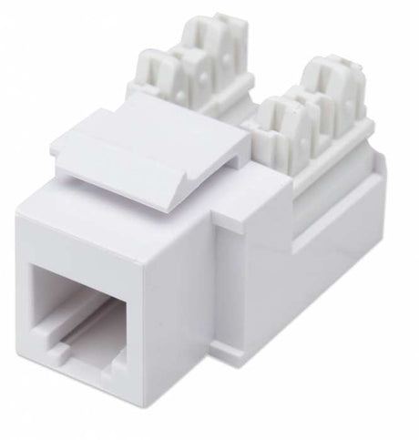 Intellinet JACK RJ11 RJ12 KEYSTONE DE IMPACTO BLANCO módulos de conectores de red Plano Blanco RJ-11 RJ-12