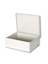 DSC GS-004 caja para sistemas de alarma Blanco