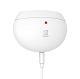 iHORN LH-69F detector de agua Sistema de sensores y alertas Alámbrico, Blanco