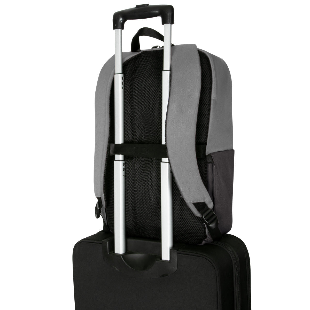 Targus Sagano Laptop Monocromo 39,6 cm (15.6") Mochila Tereftalato de polietileno (PET)