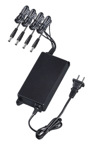 Dahua Technology PFM322 adaptadores e inversores de corriente CA a CC 100-240 V 50/60 Hz 0.6 A