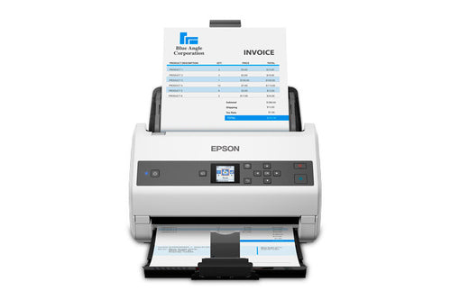 B11B251201 - Epson WorkForce B11B251201 Escáner 600 x 600 DPI Si Si 30 bit