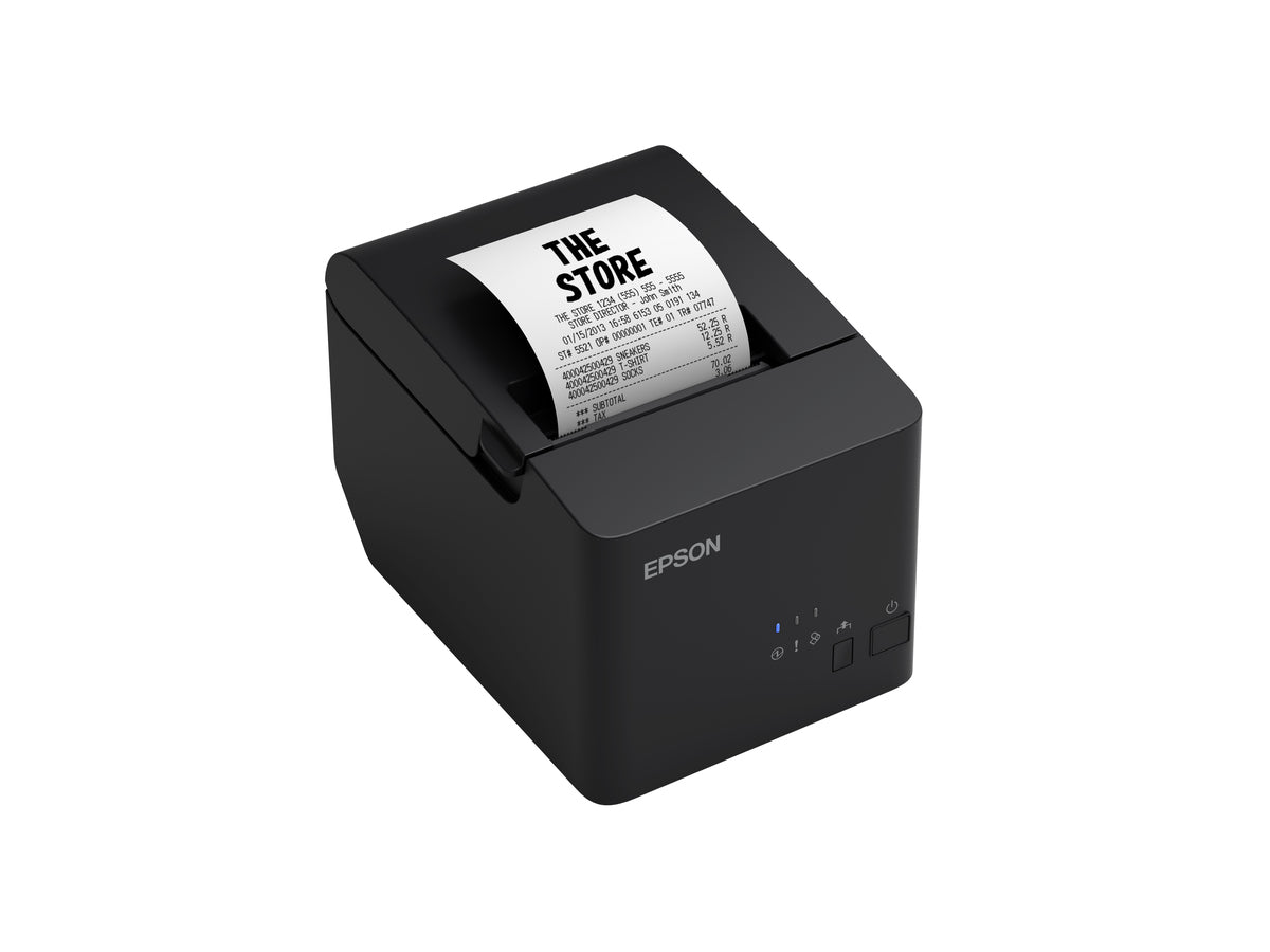 Epson C31CL45001
