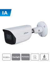Dahua Technology WizSense IPC-HFW3441EN-AS cámaras de vigilancia Cámara de seguridad IP Interior y exterior Alámbrico Si