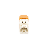 Jack PANDUIT CJ688TGOR