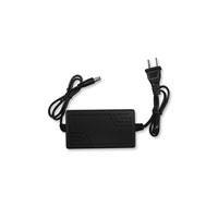 JWJ JPY-01 adaptador e inversor de corriente Interior Negro