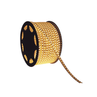 Manguera Led de 1 Linea de 1 cm/ 50 m/ T.C.C. 2700 K / Color Cálido.