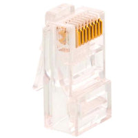 Nexxt Solutions AW102NXT01 conector RJ-45 Transparente