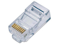 Qian NW5100 conector RJ-45 Transparente