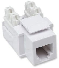 Intellinet JACK RJ11 RJ12 KEYSTONE DE IMPACTO BLANCO módulos de conectores de red Plano Blanco RJ-11 RJ-12