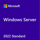 Microsoft Windows Server Standard 2022