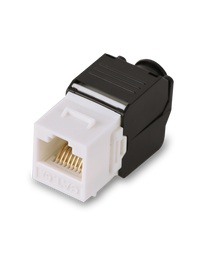 Modulo jack keystone RJ45 CAT 6 SAXXON M242C6 / Armado sin herramienta / 8 Hilos / AWG 22-26 / Blanco