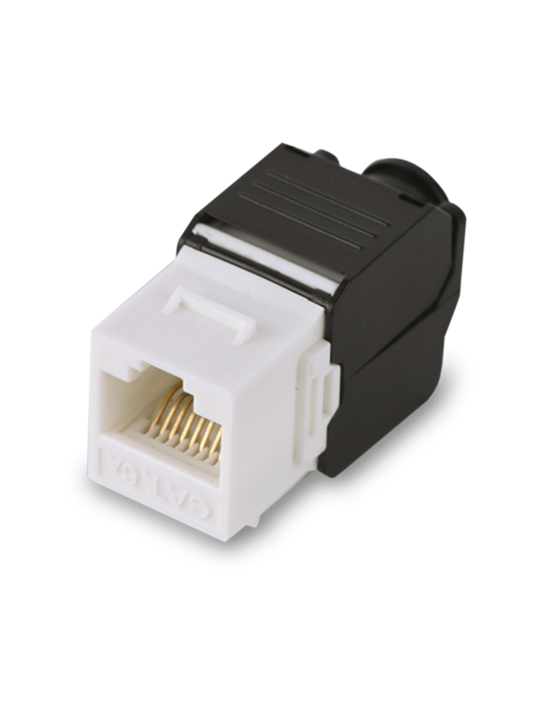 Modulo jack keystone RJ45 CAT 6 SAXXON M242C6 / Armado sin herramienta / 8 Hilos / AWG 22-26 / Blanco