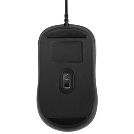 Mouse Targus Óptico Alámbrico USB 3 Botones Color Negro