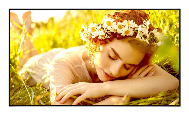 LG 65UL5Q-E pantalla de señalización Pantalla plana para señalización digital 165,1 cm (65") LED Wifi 500 cd / m² 4K Ult