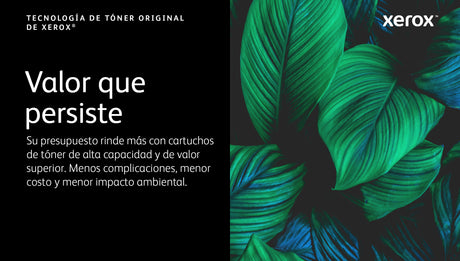 Xerox 106R04646 cartucho de tóner 1 pieza(s) Original Blanco, 5000 páginas, 5000 páginas