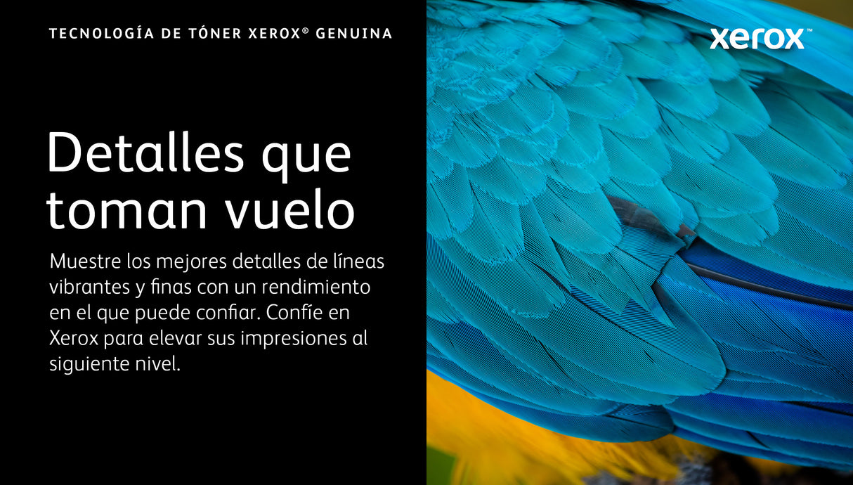 Xerox VersaLink C8000 Cartucho de tóner BLANCO de capacidad estándar (5.000 páginas) WW Cartucho de Tinta 1 pieza(s) 1 5000 páginas 5000 páginas