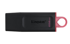 Kingston Technology Unidad Flash USB 3.2 DataTraveler Exodia Memoria Flash 256 GB USB tipo A 3.2 Gen 1 (3.1 Gen 1) Si
