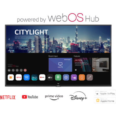NT653 - Peerless Smart TV para Exteriores / 65 Pulgadas / 4K UHD NT653