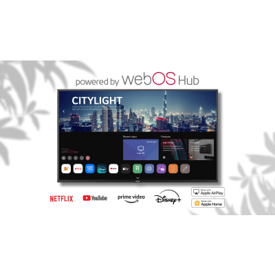 NT553 - Peerless SmartTV para Exteriores / 55" 4K UHD / 500 nits NT553