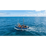 TX-110V-SYS - Antena VHF Marina / 4 dBi / 156-163 MHz / Altura 1.1 m (3.61 ft) / Conector SO239 / Color Blanco