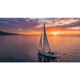 TX-110V-SYS - Antena VHF Marina / 4 dBi / 156-163 MHz / Altura 1.1 m (3.61 ft) / Conector SO239 / Color Blanco