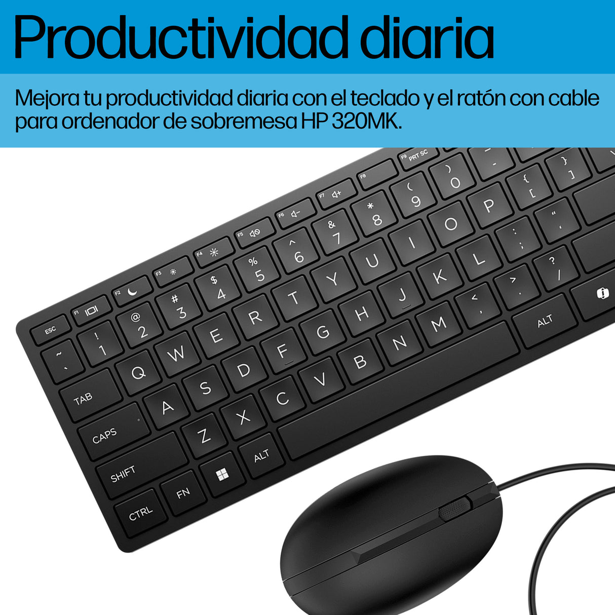 HP Teclado y ratón con cables Desktop 320MK