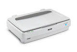 Epson Expression 13000XL Escáner 310 x 437 mm 2400 x 4800 DPI 48 bit 48 bit