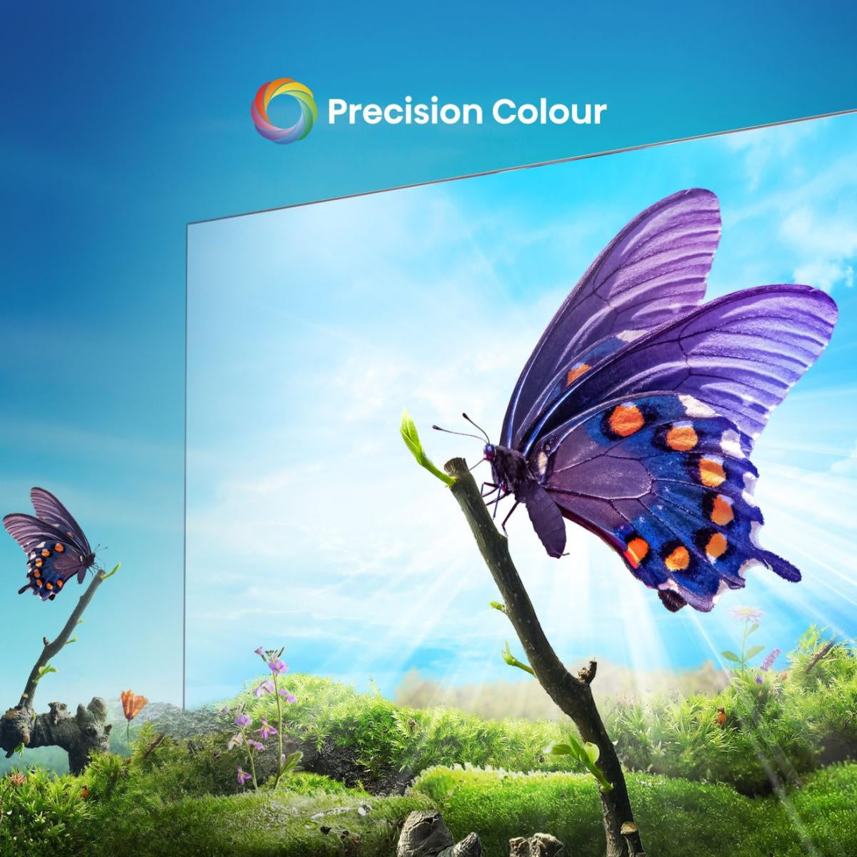 Hisense 75A6N 190,5 cm (75") 4K Ultra HD Smart TV Wifi Negro 350 cd / m²