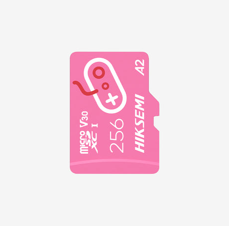 Hikvision HS-TF-G2(STD)/256G 256 GB MicroSD TLC