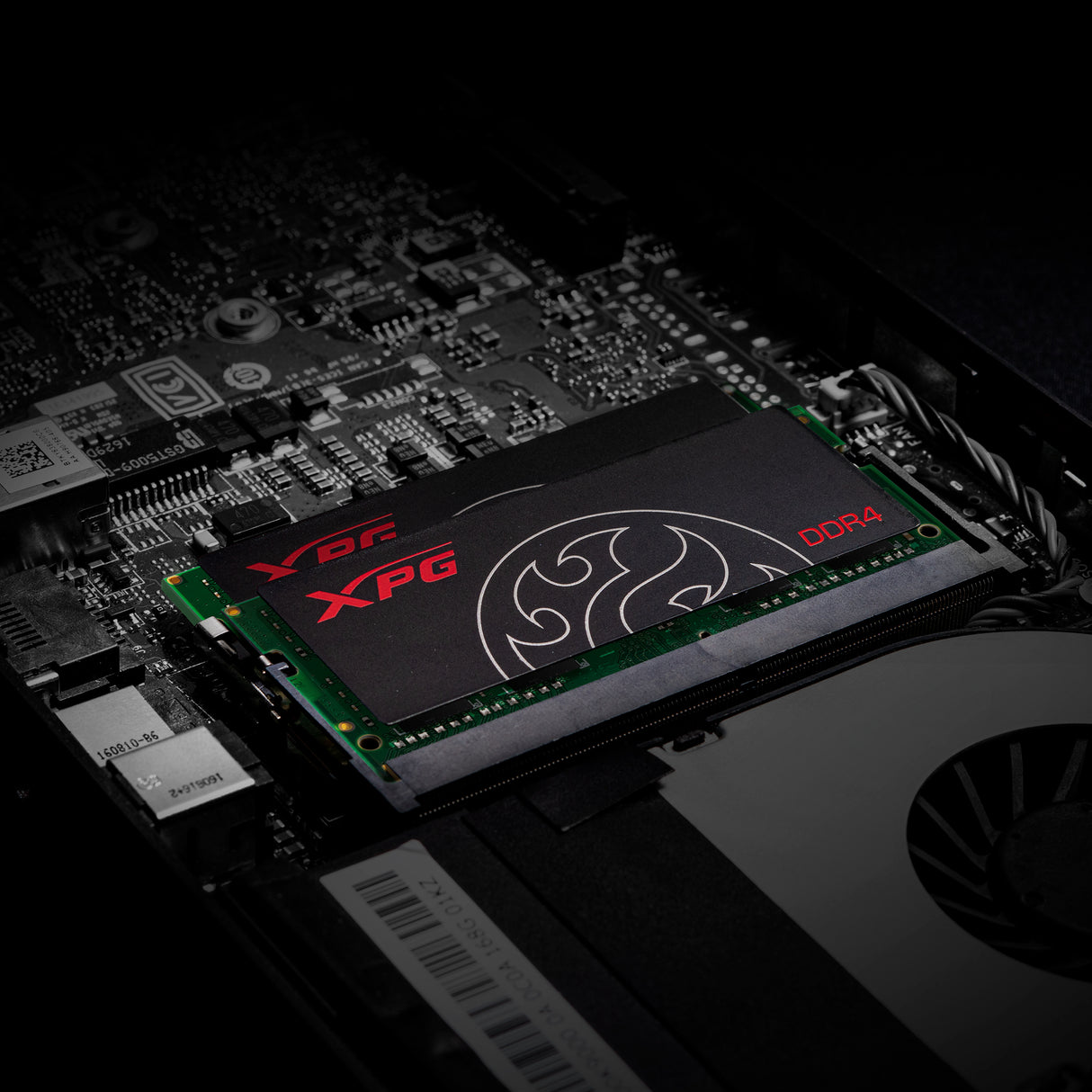 XPG HUNTER AX4S32008G22-SBHT Memoria RAM 8 GB 1 x 8 GB DDR4 3200 MHz