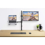 Soporte Monitor Manhattan Escritorio Para 13" A 32"/Laptop 10" A 17" Hasta 8 Kg Altura Ajustable