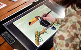 Wacom Cintiq Pro 24 tableta gráfica Negro 5080 lpi 522 x 294 mm USB, Alámbrico, Pluma