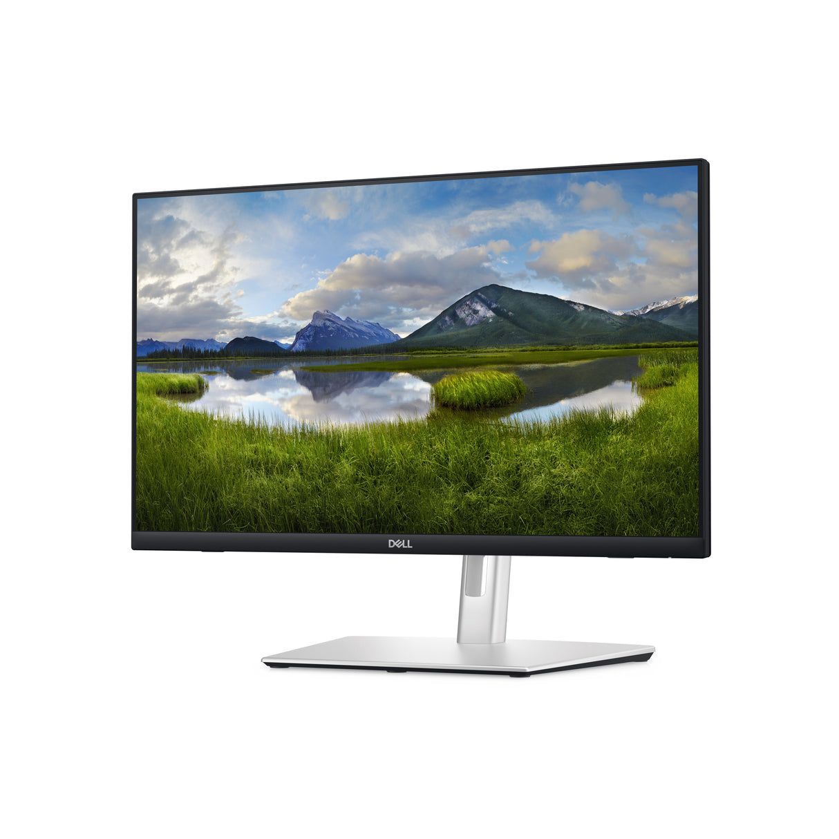 DELL P Series P2424HT monitor de computadora 60.5 cm (23.8") 1920 x 1080 Pixeles Full HD LCD Pantalla táctil Negro, Plat