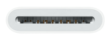 Apple Adaptador de USB-C a lector de tarjeta SD, MW653AM/A | Lector de tarjetas
