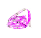 Nexxt Solutions Smart - Franja de iluminación - LED - RGB claro - 5 m