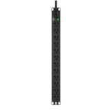 E12B19M - Panduit PDU ES2P Básico para Distribución de Energía, Enchufe de Entrada NEMA 5-20P, Con 12