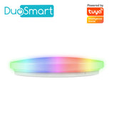 DuoSmart S20 iluminación inteligente Luz de techo inteligente Wi-Fi