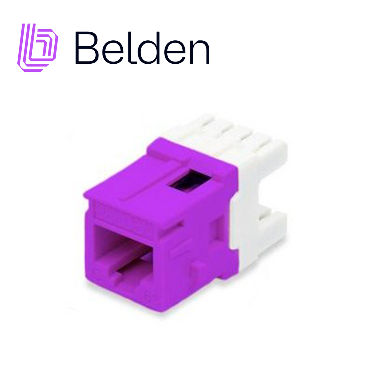 Belden Conector Modular Jack CAT6+ RJ45 AX104194, Interior, Purpura