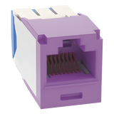 CJ6X88TGVL - Jack RJ45 / Cat 6A / UTP / Sin herramienta de impacto / 22-26 AWG / Violeta