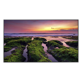 QB55C - Pantalla LED Profesional / 55 Pulgadas / UHD 4K 3840x2160p / 350 Nits / Operación 16/7 / Wi-Fi Dual y Bluetooth / VESA 200x200 mm