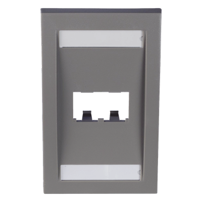 CFPE2IGY - Placa de Pared Vertical / 2 Puertos Mini-Com / Espacios para Etiquetas / 2.75 x 4.5 in / Gris