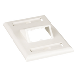 CFPSL2IWY - Placa de Pared Vertical / 2 Puertos Mini-Com Inclinados / ABS / Blanco Mate / Con Etiquetas