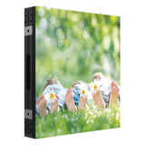 DS-D4440FO-BKI - Módulo LED para Videowall / Pixel Pitch 4 mm / Resolución 240 x 240 / IP65 / 960 mm (3.15 ft) / 900 W Máximo