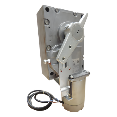 119-RIG194 - Motor for CAME Barrier model G4000