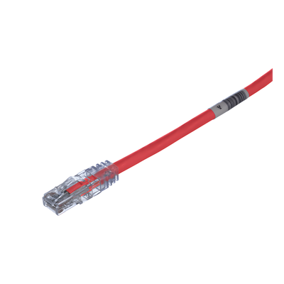 UTPSP1RDY - Cable de Parcheo UTP / Categoría 6 / 24 AWG / CM/LSZH / 1 ft (0.3 m) / T568A/B / 50 µin Oro