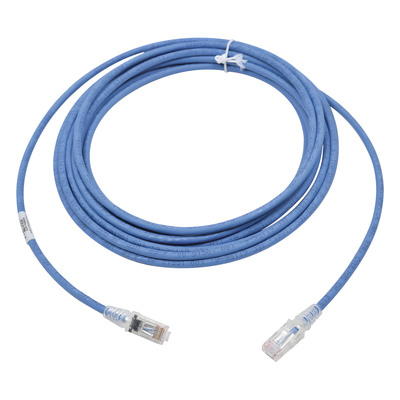 MC6-20-06B - Patch Cord MC6 Modular Cat6 UTP, CM/LS0H, 20ft, Color Azul, Versión Bulk (Sin Empaque Individual)